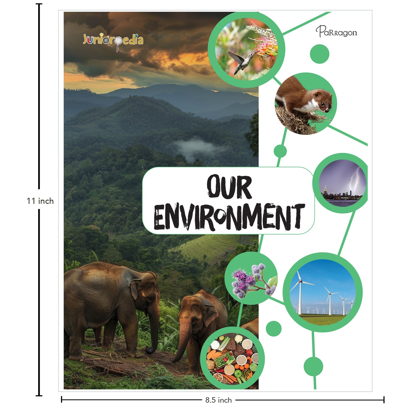 Juniorpedia: Our Environment A Fun Guide to Nature, Ecology, and Sustainability for Kids Ages 8 to 12