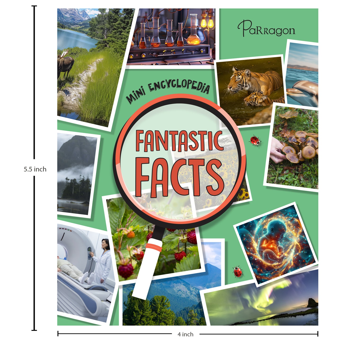 Mini Encyclopedia: Fantastic Facts Discover Amazing Trivia About Science, Nature, and More for Kids Ages 8 to 12