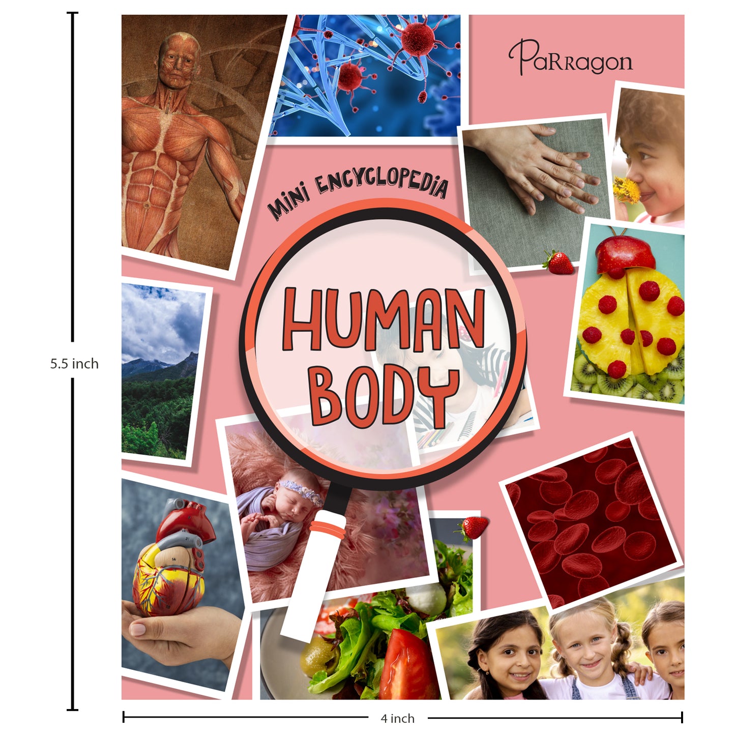 Mini Encyclopedia: Human Body A Fun & Educational Guide to Anatomy and Science for Kids Ages 8 to 12