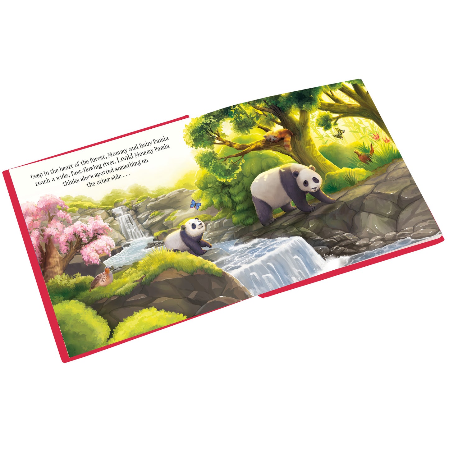 Baby Panda's Adventure | A True-to-Life Story From the Natural World | Story Book | Board Book for Kids