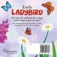 Little Ladybird | Discover An Amazing Story of Ladybird |Story Book | Board Book for Kids