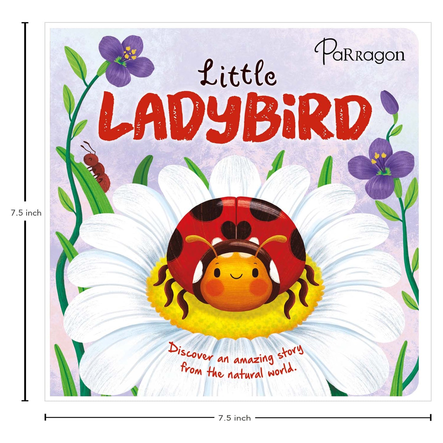 Little Ladybird | Discover An Amazing Story of Ladybird |Story Book | Board Book for Kids