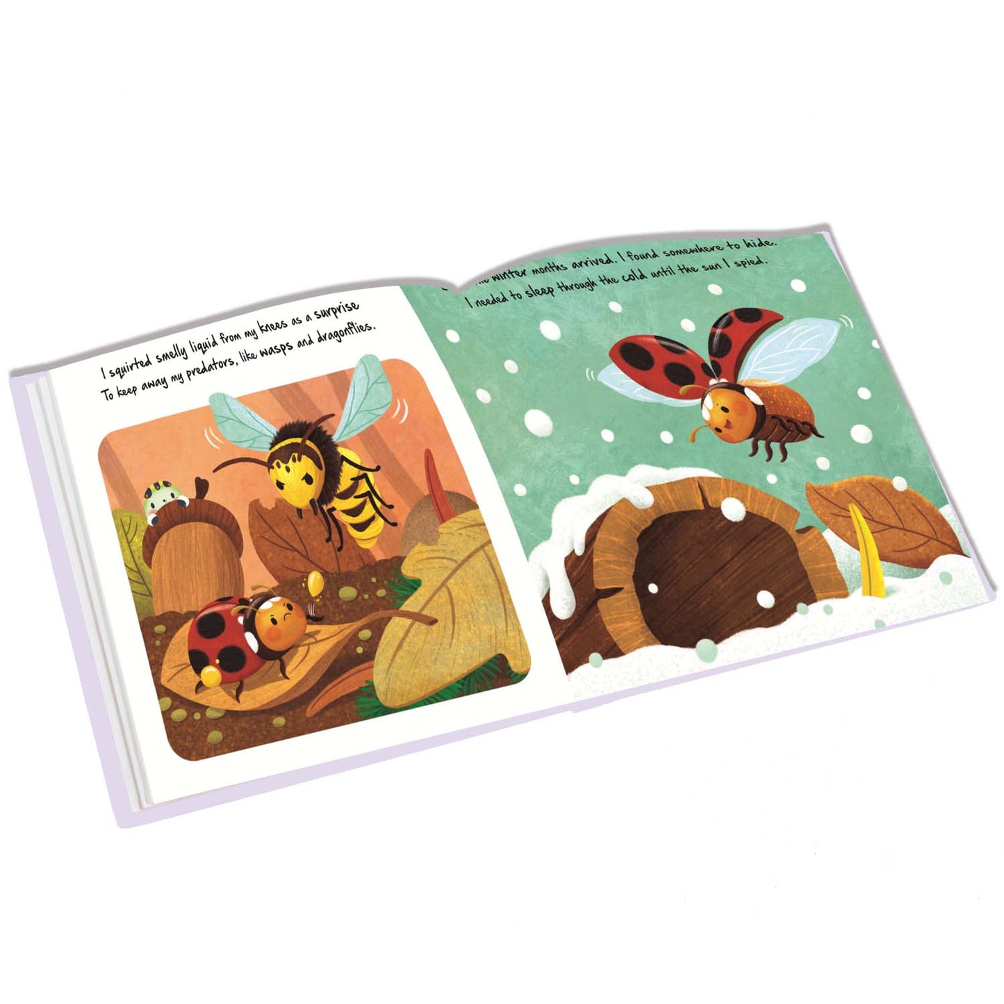 Little Ladybird | Discover An Amazing Story of Ladybird |Story Book | Board Book for Kids